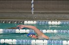 Swimming vs Babson  Wheaton College Swimming vs Babson College. - Photo By: KEITH NORDSTROM : Wheaton, Swimming, Babson